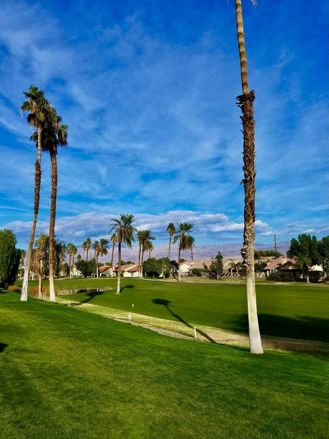 82567 Ave 48, Unit 12 Indio, CA 92201 - Photo 20 of 23 a view of a golf course with a fountain