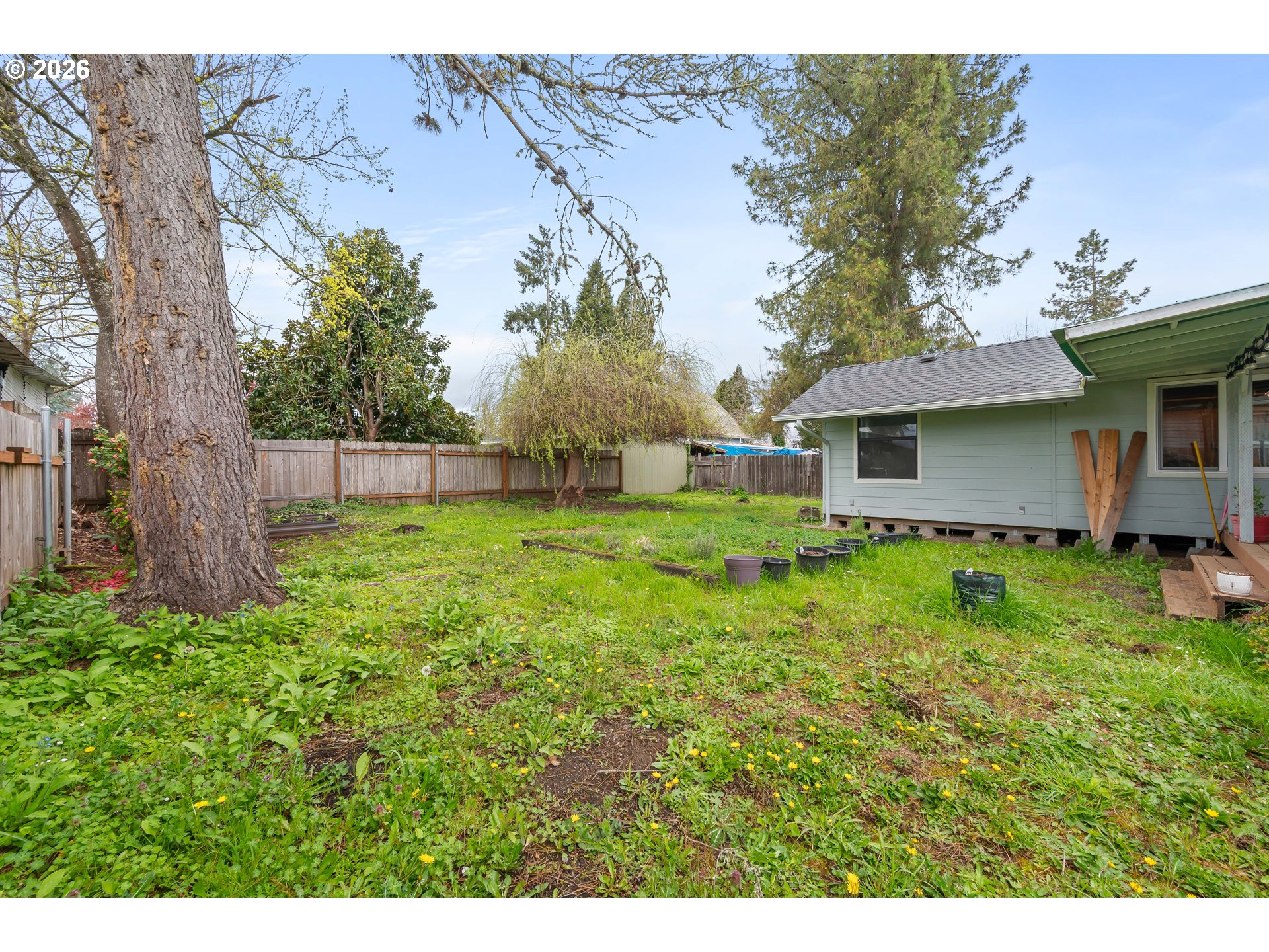 1107 South 7th Street Cottage Grove, OR 97424 - Photo 25 of 34 a backyard of a house with plants and large tree