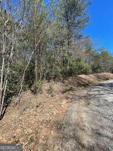 Lot 6 Willow Ridge Warne, NC 28909 - Photo 11 of 14 a view of a dry yard with trees