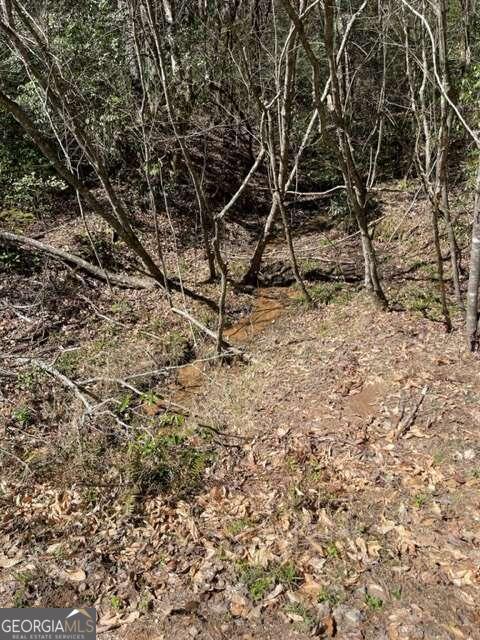 Lot 6 Willow Ridge Warne, NC 28909 - Photo 12 of 14 a view of a yard with a tree
