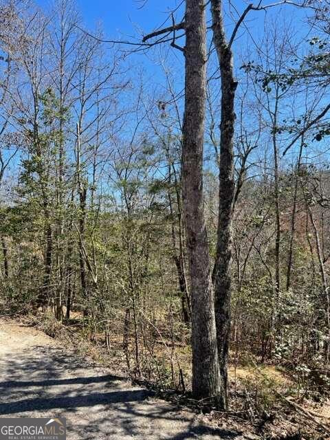 Lot 6 Willow Ridge Warne, NC 28909 - Photo 6 of 14 a view of a outdoor space