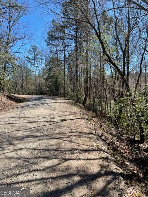 Lot 6 Willow Ridge Warne, NC 28909 - Photo 7 of 14 a view of a backyard of the house