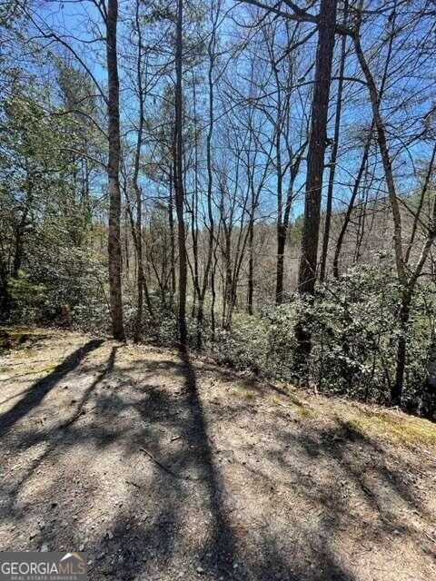 Lot 6 Willow Ridge Warne, NC 28909 - Photo 8 of 14 a view of forest