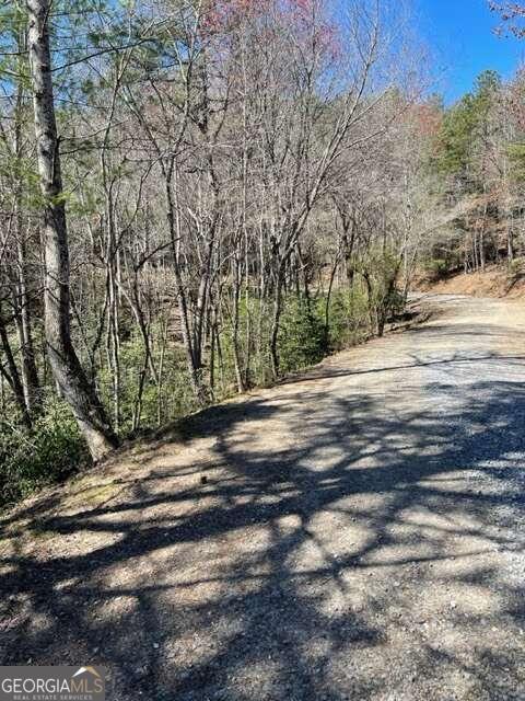 Lot 6 Willow Ridge Warne, NC 28909 - Photo 9 of 14 a view of dirt yard with a large tree