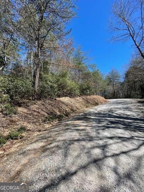 Lot 6 Willow Ridge Warne, NC 28909 - Photo 10 of 14 a view of a forest with trees