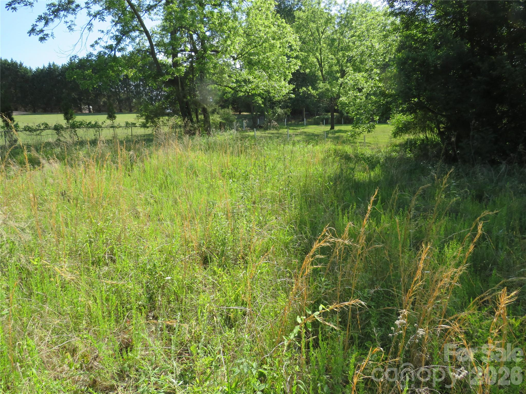 0 Blue Sapphire Lane Rutherfordton, NC 28139 - Photo 8 of 25