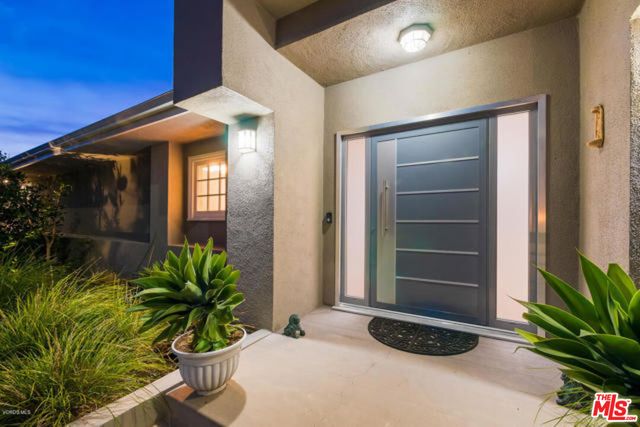 a potted plant sitting in front of a house