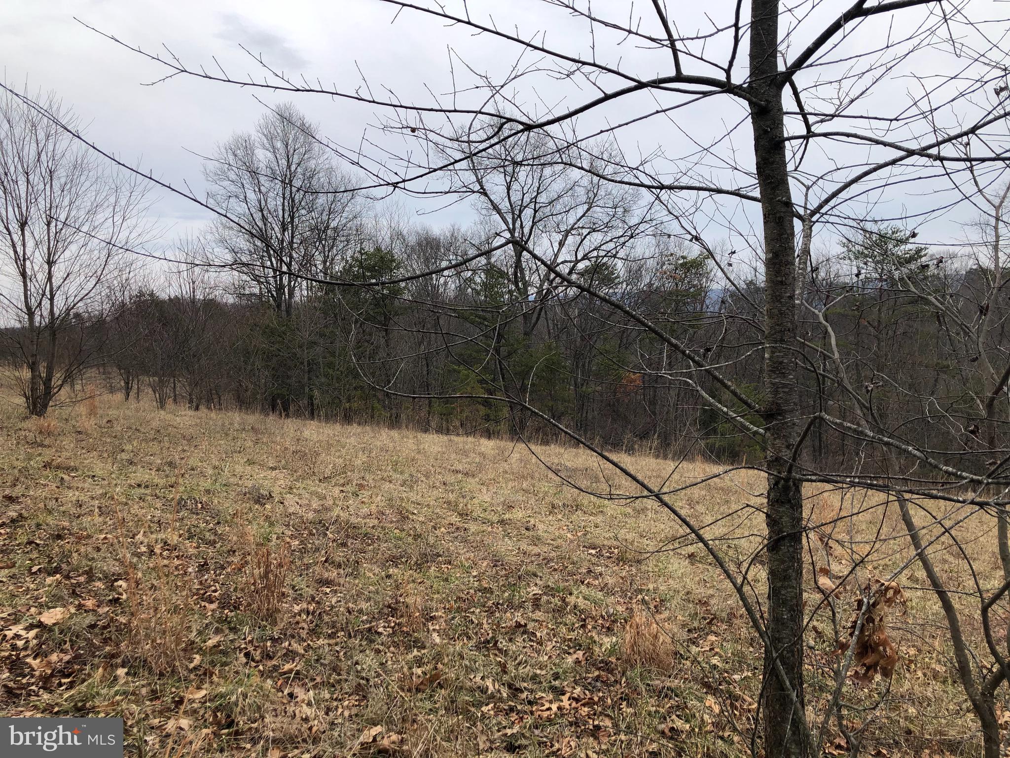 17 Puffball Road Hedgesville, WV 25427 - Photo 14 of 29 Gallery Image 14