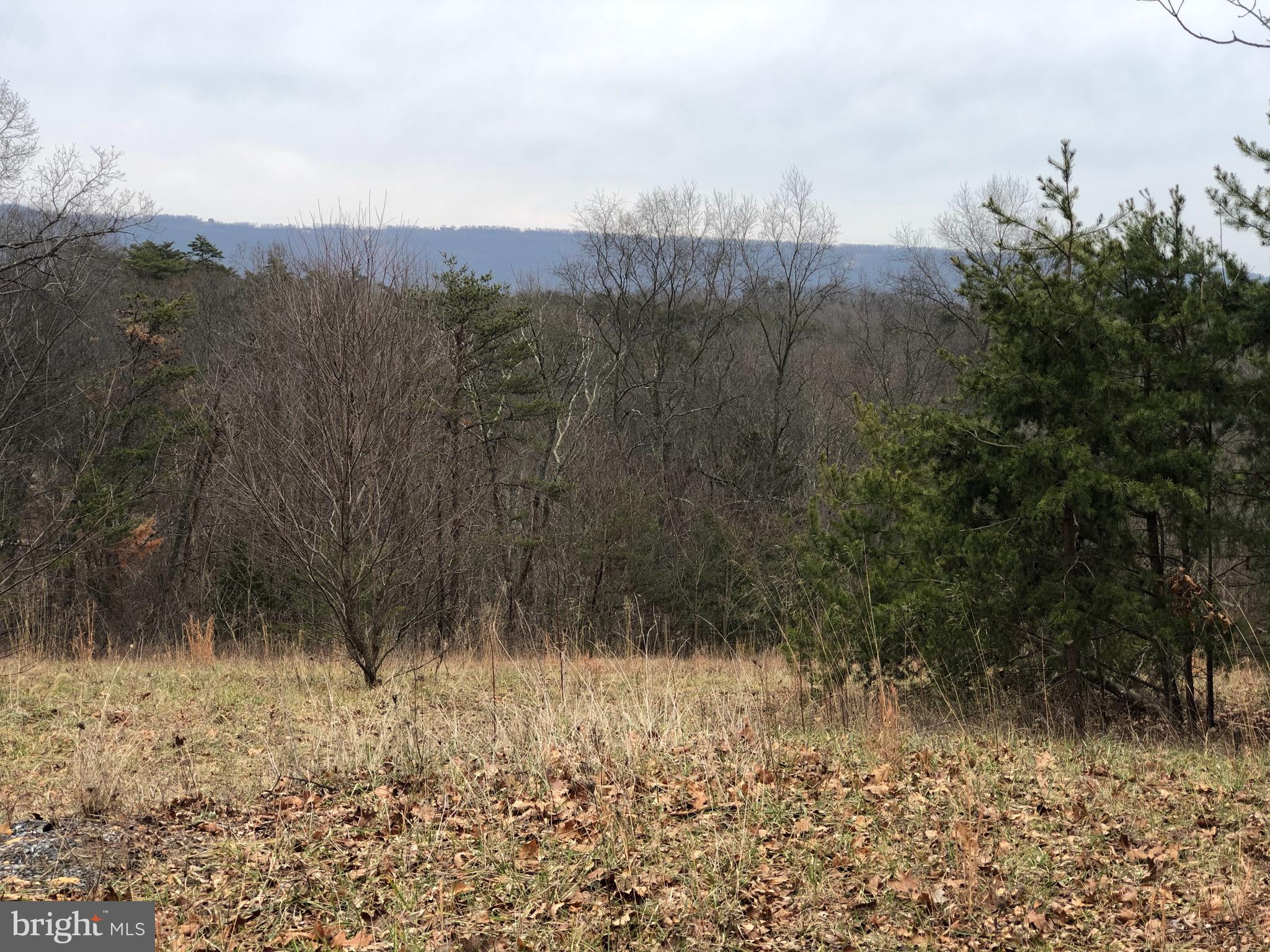17 Puffball Road Hedgesville, WV 25427 - Photo 3 of 29 Gallery Image 3