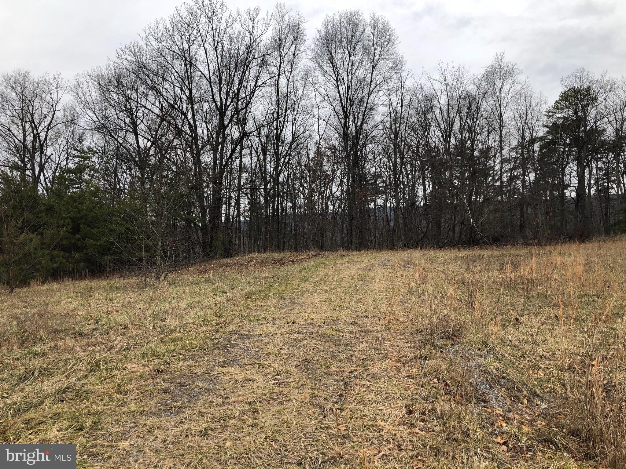 17 Puffball Road Hedgesville, WV 25427 - Photo 22 of 29 Gallery Image 22