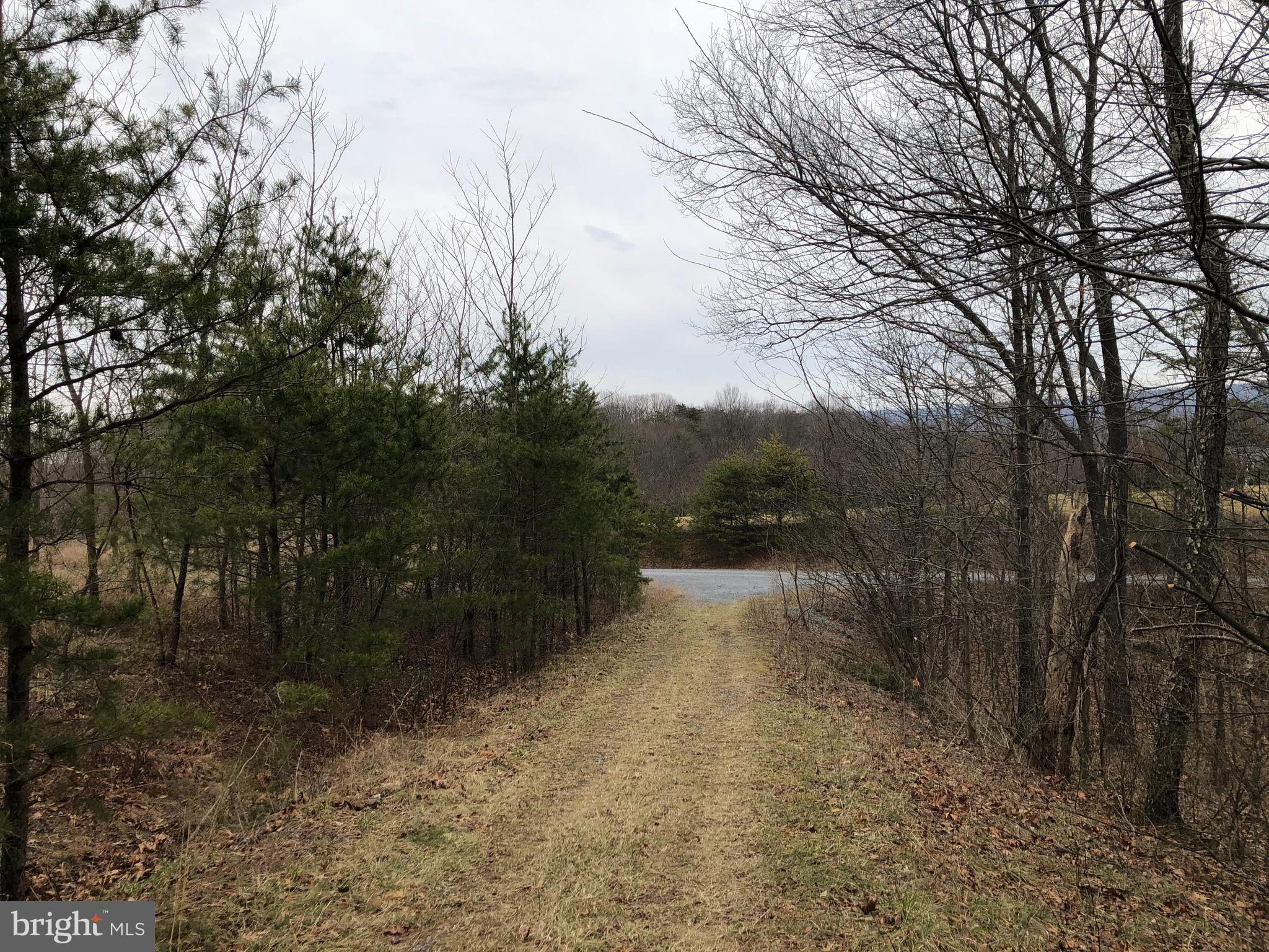 17 Puffball Road Hedgesville, WV 25427 - Photo 8 of 29 Gallery Image 8