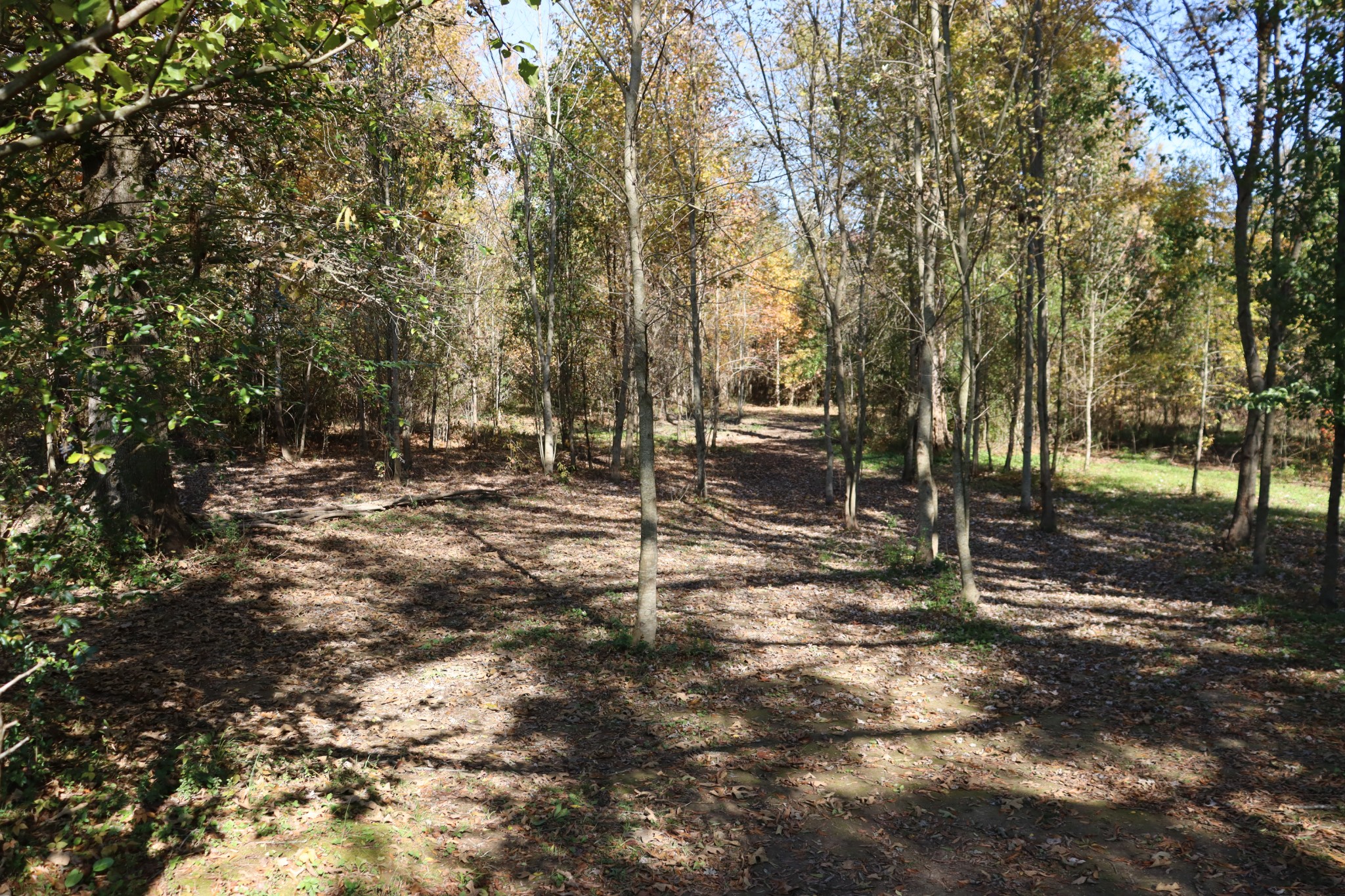 5769 Patterson Road Smithville, TN 37166 - Photo 34 of 39 Gallery Image 34