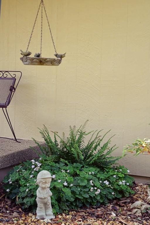 1344 Lakewood Village Road, Unit 9 Spring City, TN 37381 - Photo 64 of 72 1344 lakewood Village Landscape 2 (Mediu