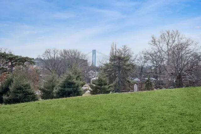 a view of a field with large trees