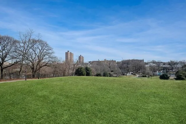 a view of a grassy field with trees in the background