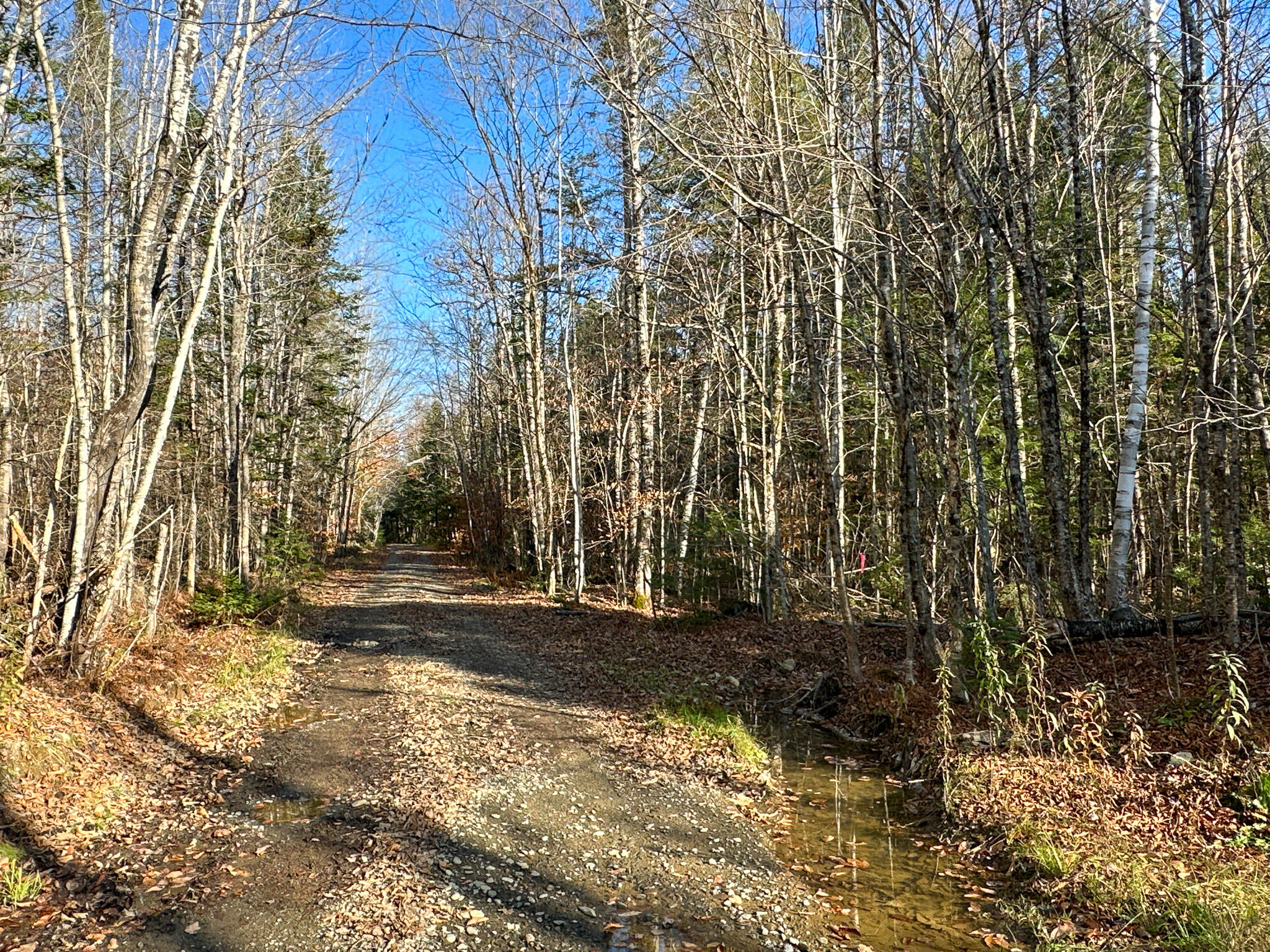 M6-l34 Rabbit Path Corinth, ME 04427 - Photo 6 of 16 Photo Nov 03 2023, 2 16 10 PM