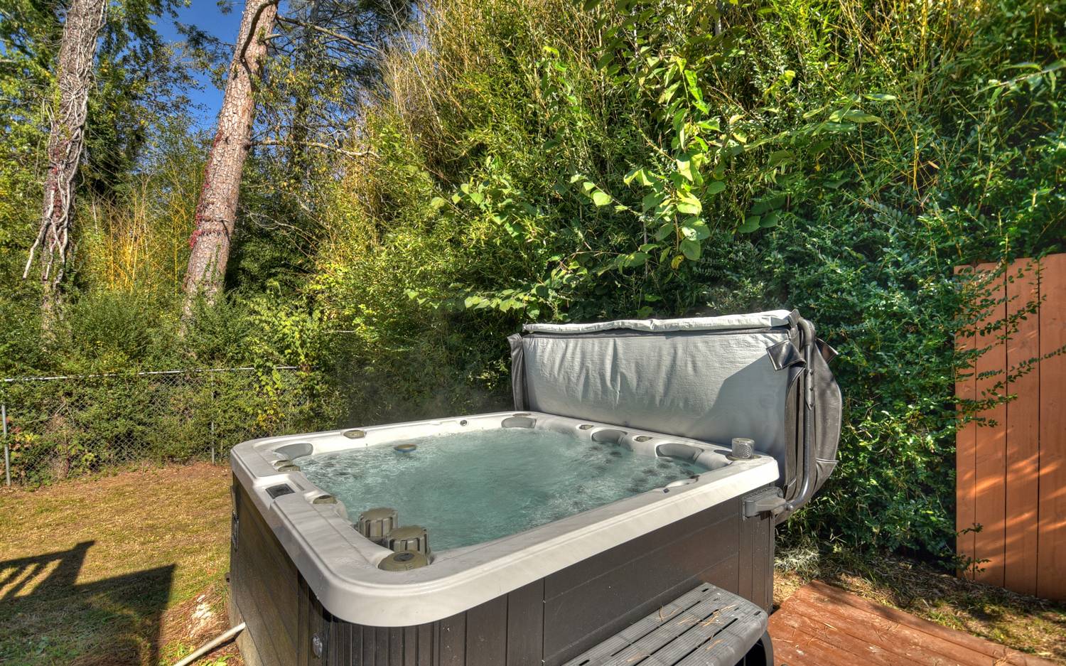642 East 2nd Street Blue Ridge, GA 30513 - Photo 15 of 44 a view of jacuzzi and garden