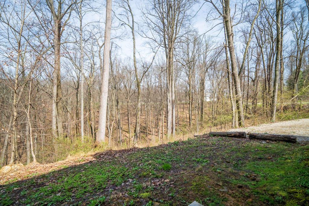 12861 Jack Run Road Rockbridge, OH 43149 - Photo 40 of 41 Amazing Views