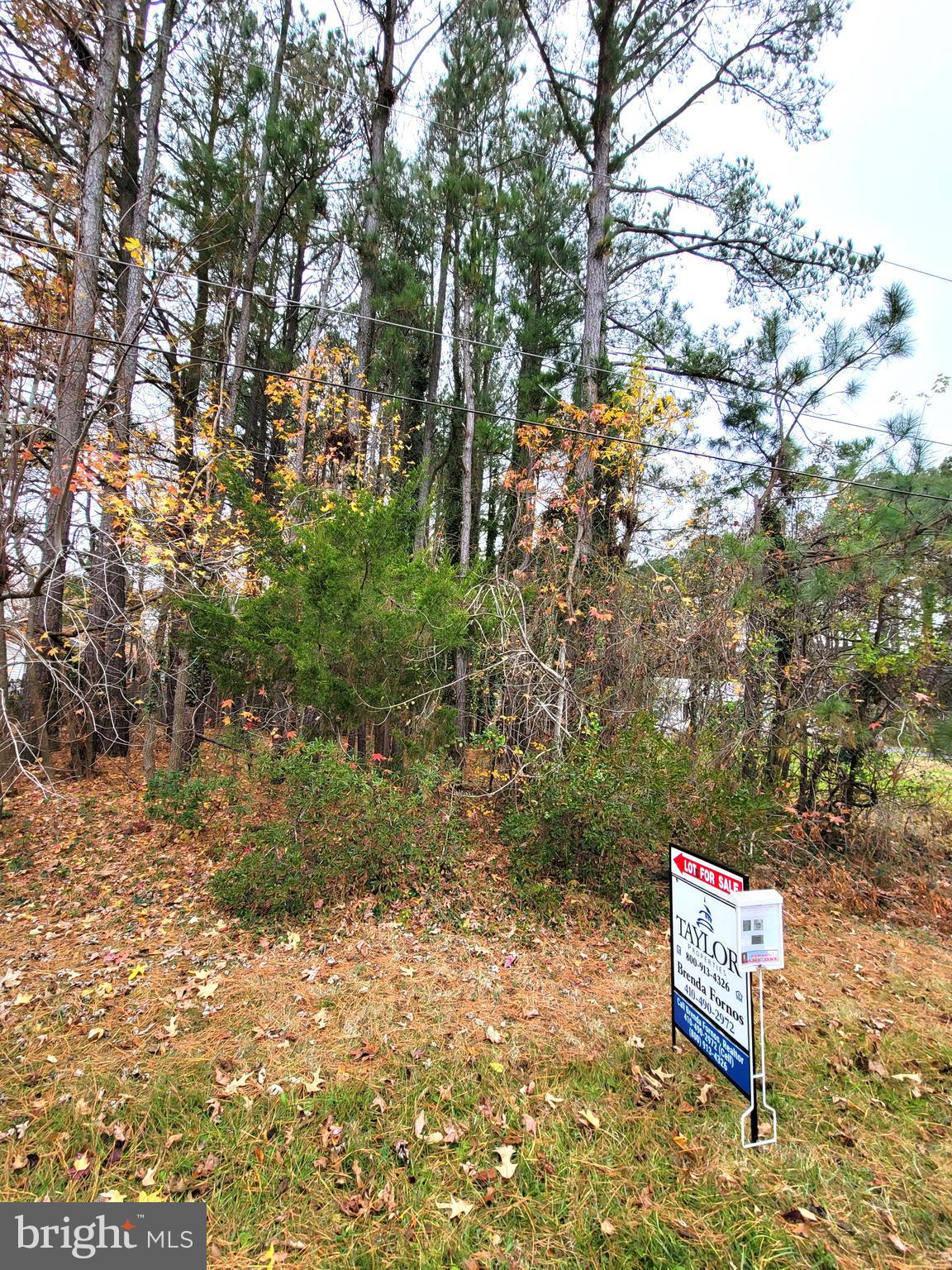Point Road Stevensville, MD 21666 - Photo 2 of 8 Mostly wooded lot just waiting for you to build.