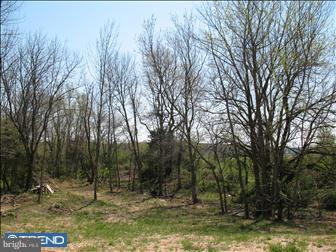 Lot 6 Eldridges Hill Road Pilesgrove, NJ 08098 - Photo 3 of 4 Gallery Image 3