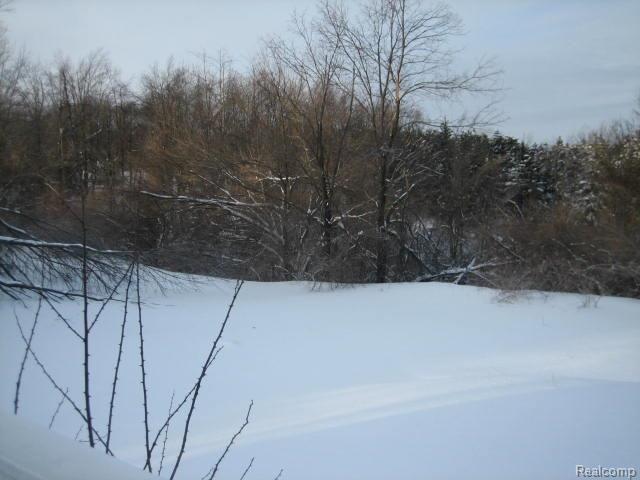 4312 Brown Road Metamora, MI 48455 - Photo 4 of 16 4312 063.jpg