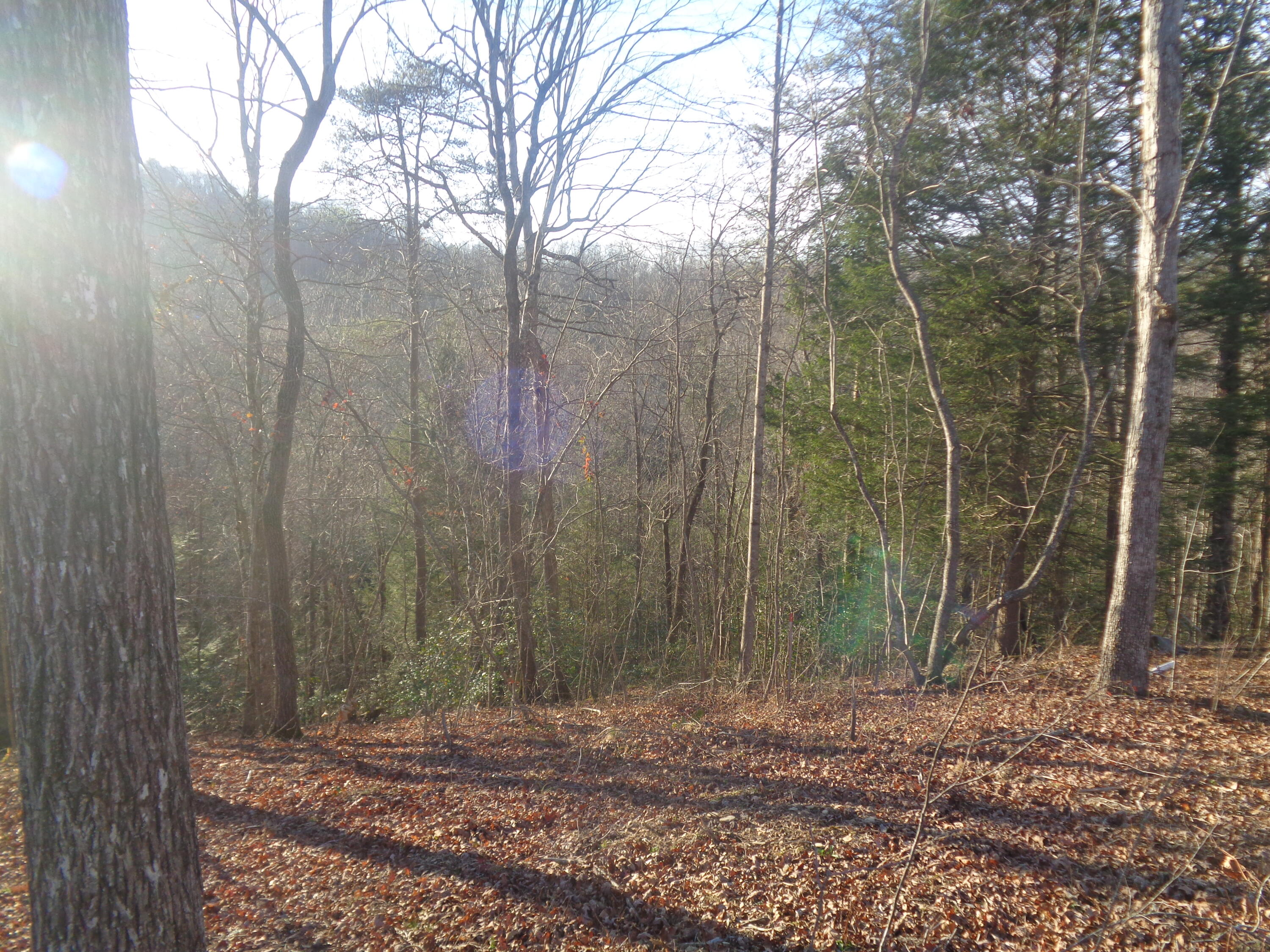 Lot 6 Fount Hubbard Road London, KY 40741 - Photo 7 of 24 DSC07447