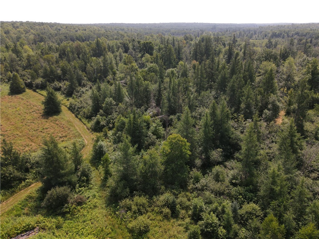 7649 West Hogsback Road Exeland, WI 54835 - Photo 3 of 32