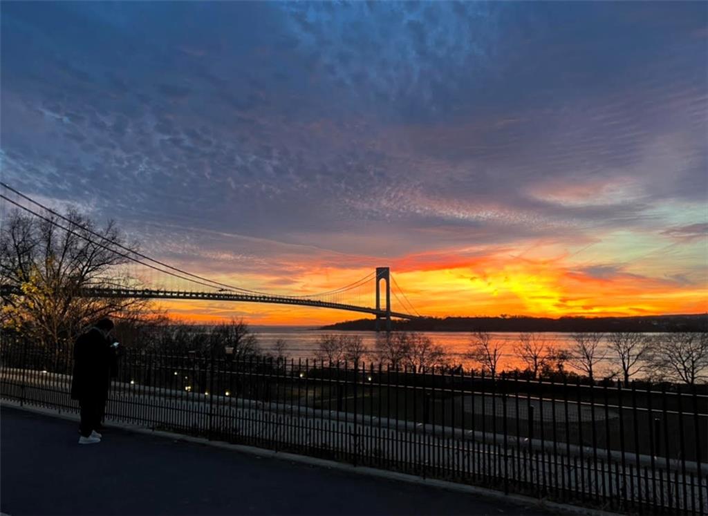 9701 Shore Road, Unit 1O Brooklyn, NY 11209 - Photo 17 of 23 a view of city from balcony