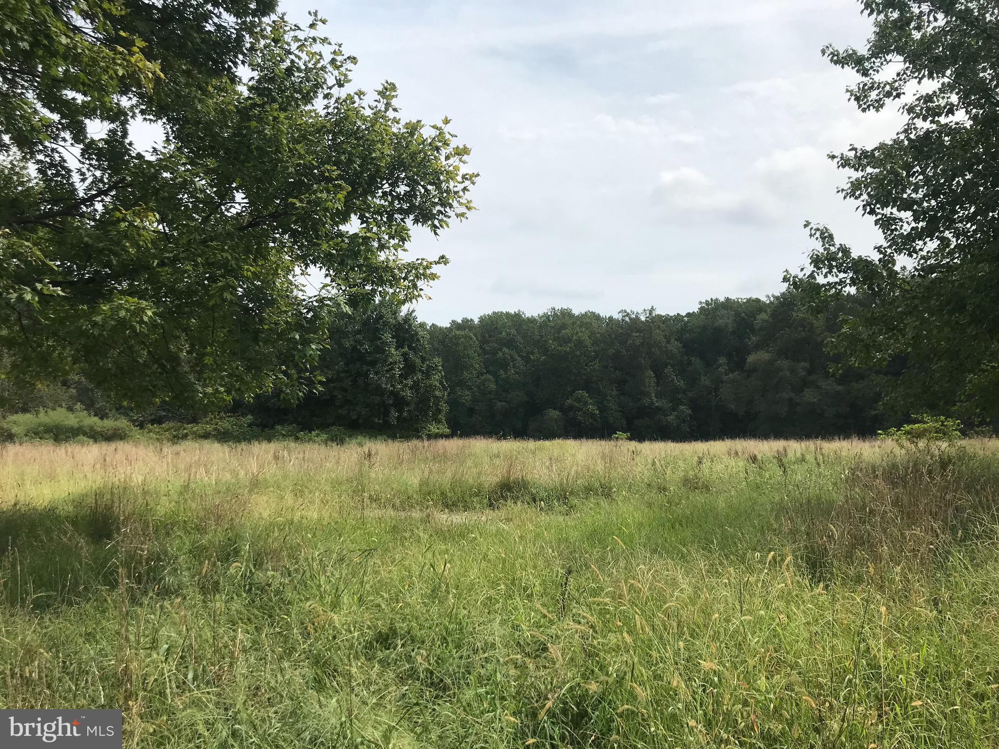 1521 Ridings Way Gambrills, MD 21054 - Photo 5 of 9