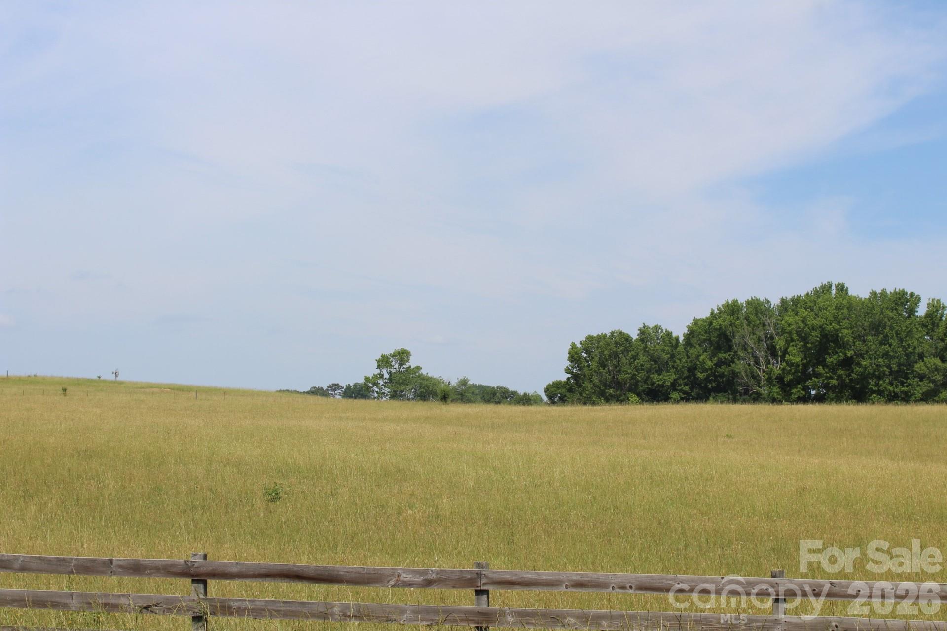 Lot 7 Ted Smith Road, Unit 7 Rutherfordton, NC 28139 - Photo 5 of 22