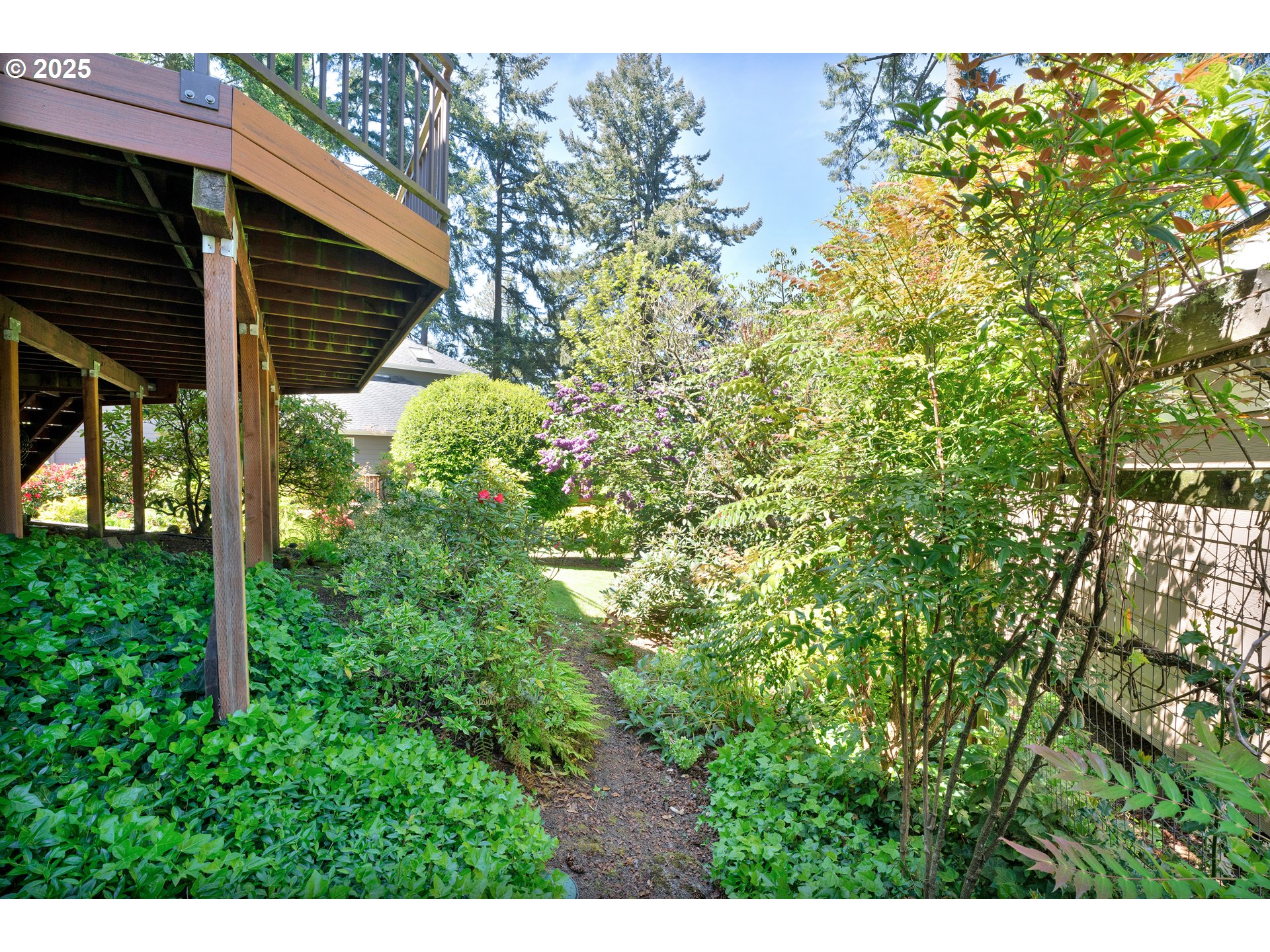 3348 Storey Boulevard Eugene, OR 97405 - Photo 42 of 47 a backyard of a house with lots of green space