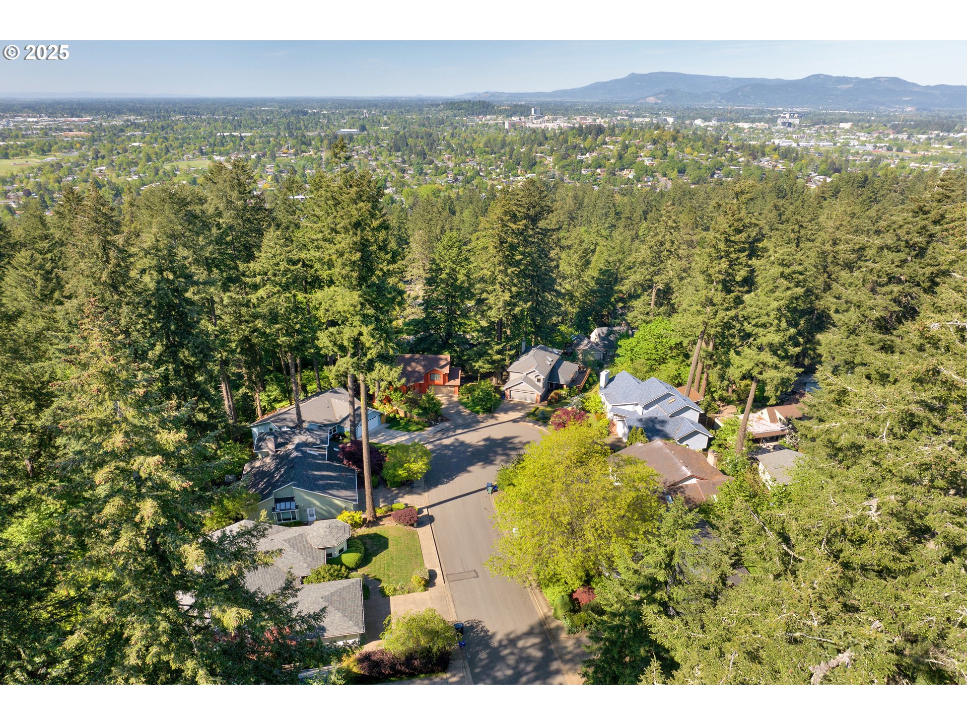 3348 Storey Boulevard Eugene, OR 97405 - Photo 45 of 47 a view of a city with lush green forest