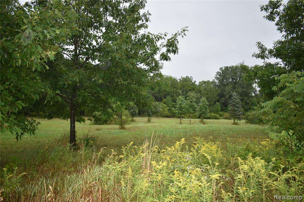 0 West Mohrle Road Fowlerville, MI 48836 - Photo 4 of 4