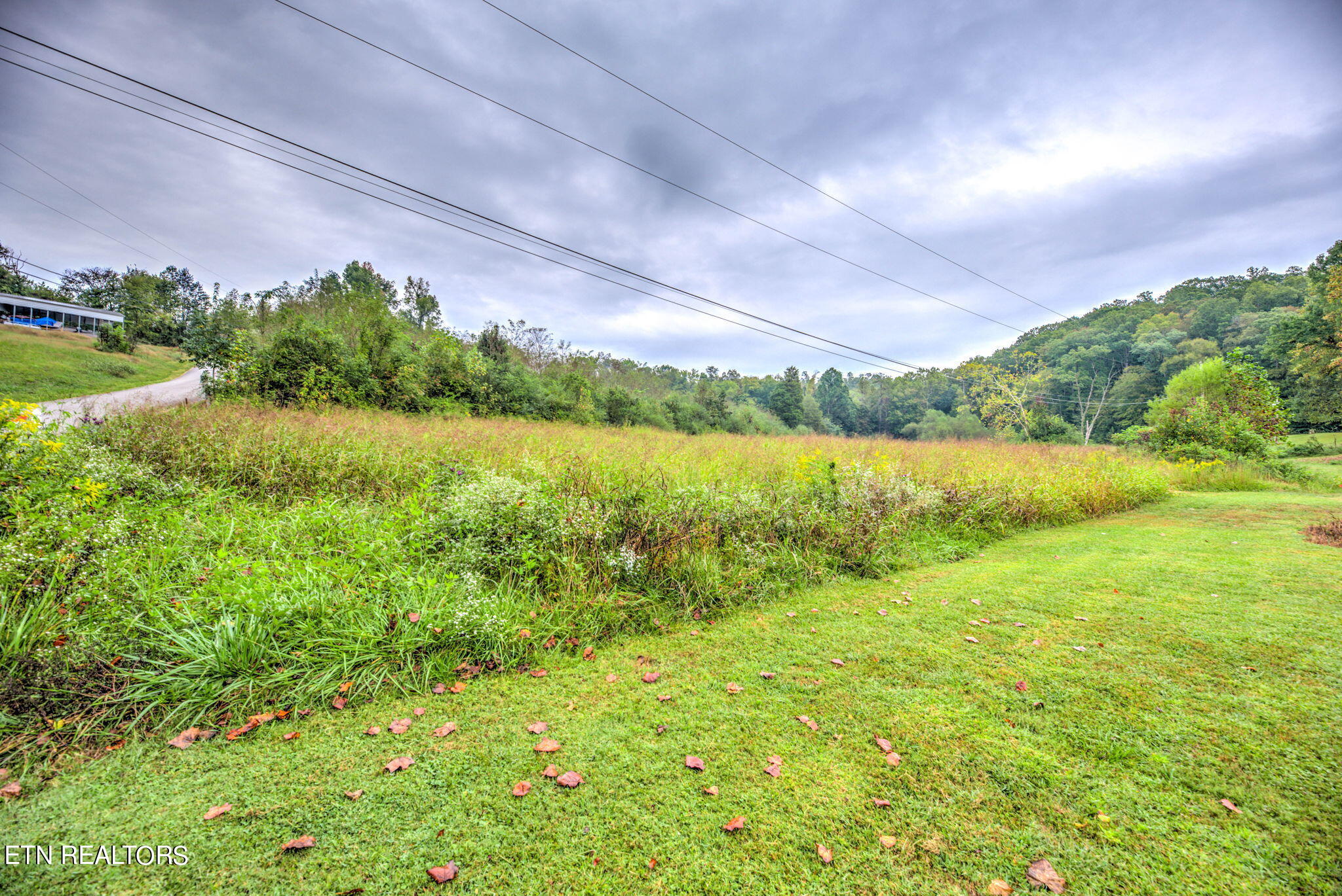 153 Lancer Road Harriman, TN 37748 - Photo 1 of 10 1-web-or-mls-Lncng163 (4)