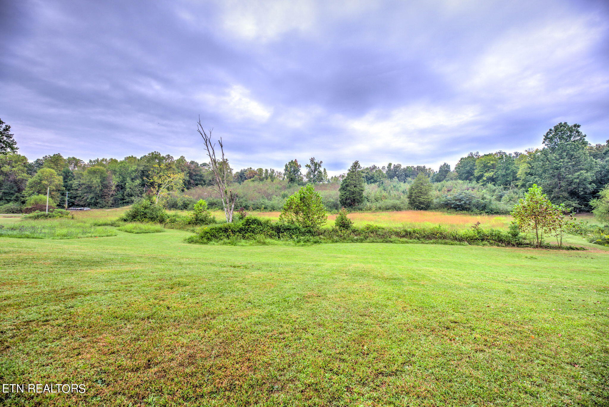 153 Lancer Road Harriman, TN 37748 - Photo 2 of 10 2-web-or-mls-Lncng163 (2)