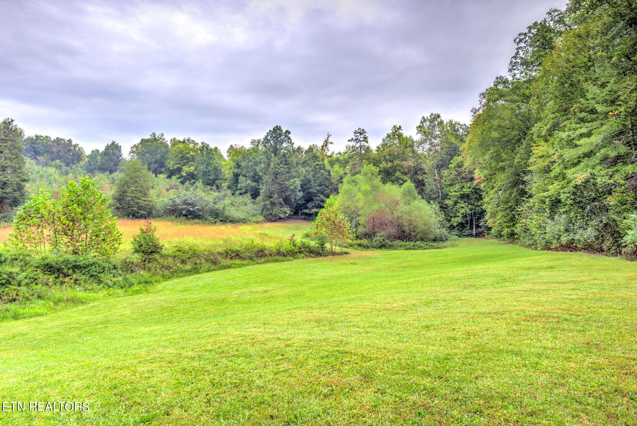 153 Lancer Road Harriman, TN 37748 - Photo 3 of 10 3-web-or-mls-Lncng163 (3)