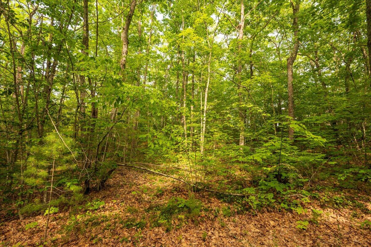 Lot 5-2-4 Lot 5-2-4 Porcupine Ridge Road Bremen, ME 04551 - Photo 3 of 19 Lot 5-2-4 Porcupine Ridge Road, Bremen