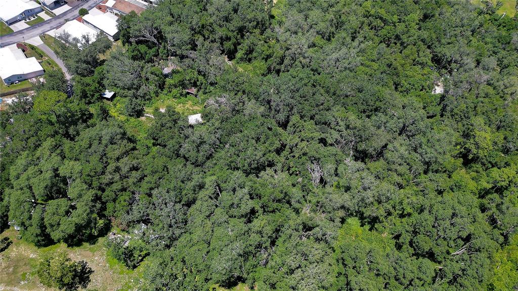 3801 Pate Road Zephyrhills, FL 33541 - Photo 13 of 63 Gallery Image 13
