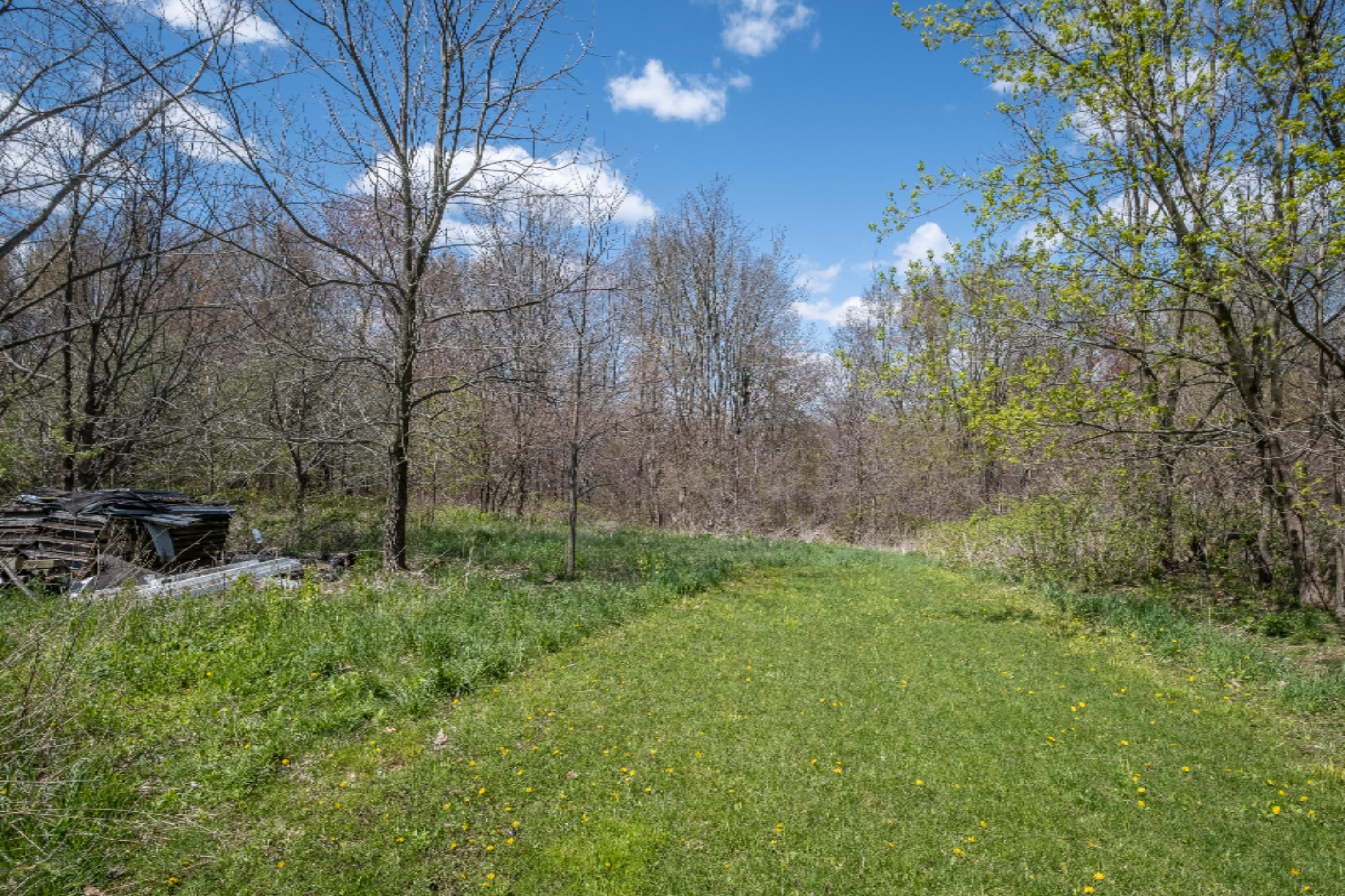 6324 Rose Road Delton, MI 49046 - Photo 22 of 45 Photo-7