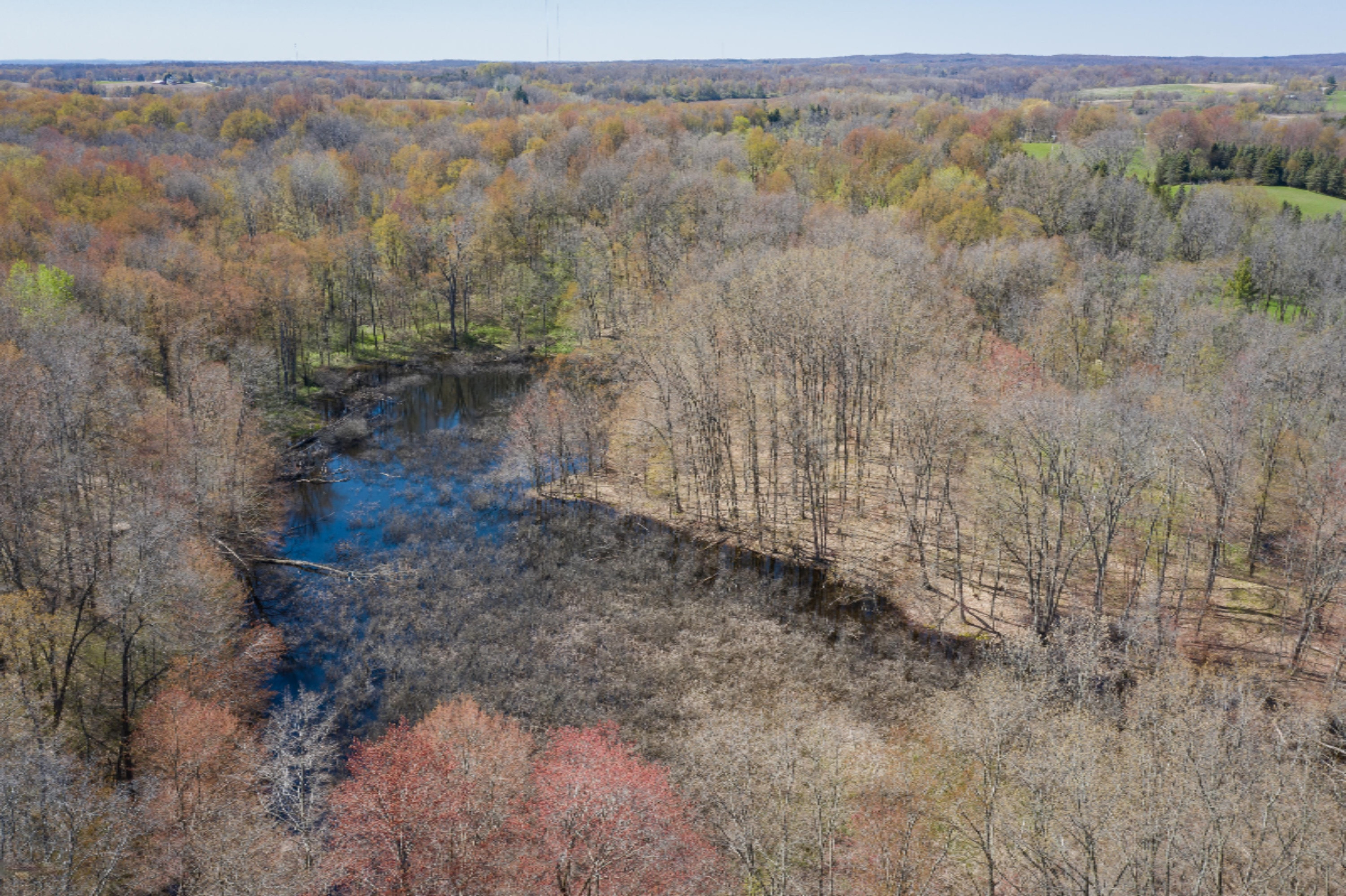 6324 Rose Road Delton, MI 49046 - Photo 43 of 45 Photo-10