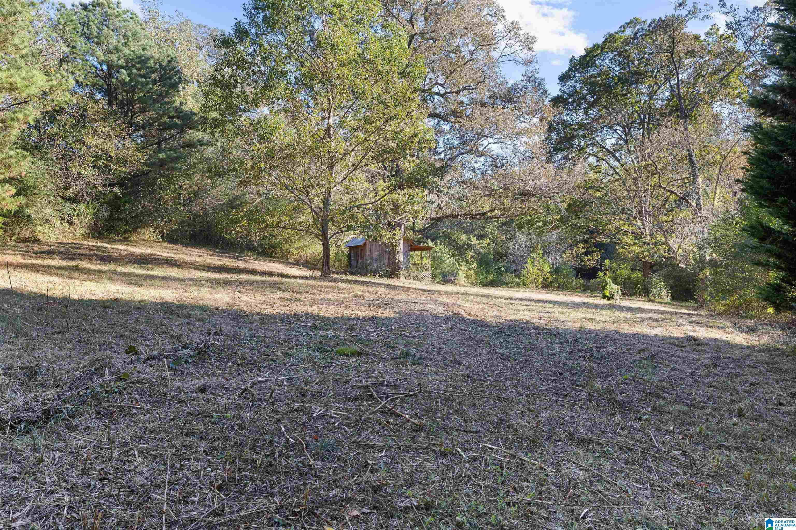 550 Hale Creek Road Altoona, AL 35952 - Photo 39 of 54