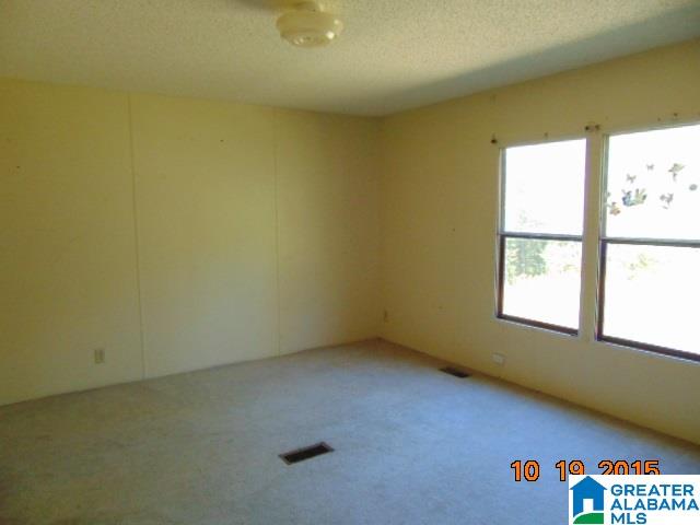 20780 Thrasher Road Woodstock, AL 35188 - Photo 5 of 9