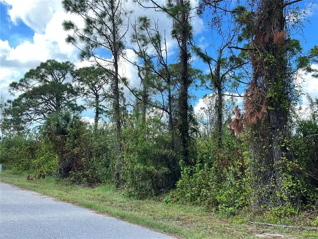 $30,000 | 12438 Deepwoods Avenue, Port Charlotte, FL 33981
