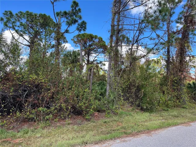 $30,000 | 12438 Deepwoods Avenue, Port Charlotte, FL 33981