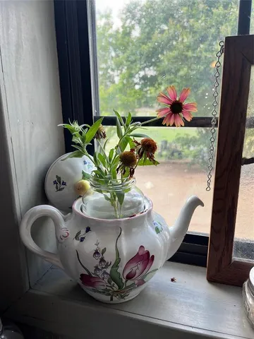 a view of a yard with a bench