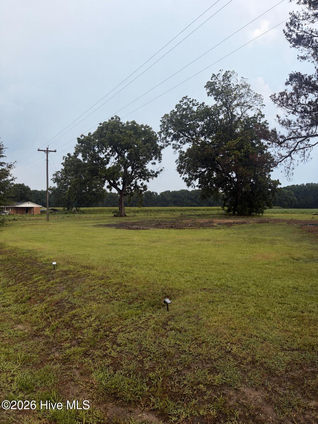 315 Flowers Road Mount Olive, NC 28365 - Photo 3 of 8