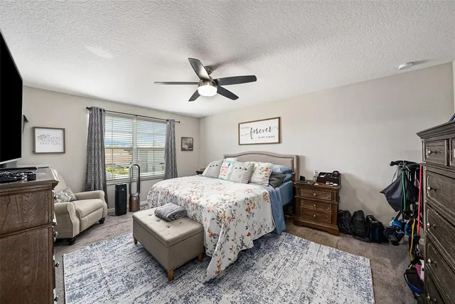 $389,000 | 17211 Beach Buttercup Place, Wimauma, FL 33598