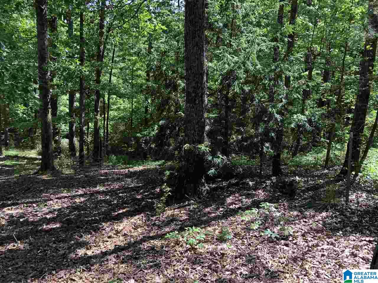 230 Copper Springs Road Odenville, AL 35120 - Photo 18 of 42