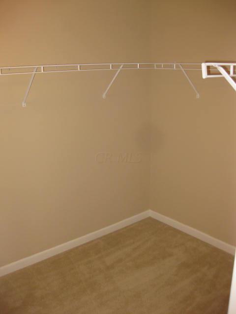7233 Springview Lane Dublin, OH 43016 - Photo 18 of 29
