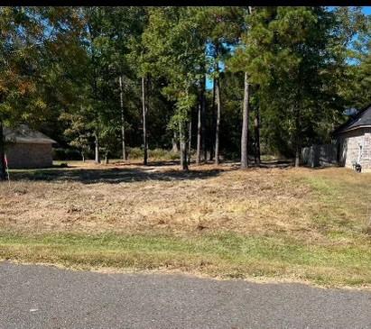 9428 North Pointe Circle Greenwood, LA 71033 - Photo 3 of 5